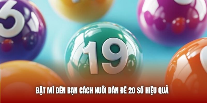 Bật mí đến bạn cách nuôi dàn đề 20 số hiệu quả